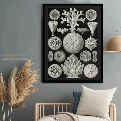 تابلو جانوران دریایی - اسپو دکور