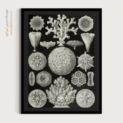 تابلو جانوران دریایی - اسپو دکور
