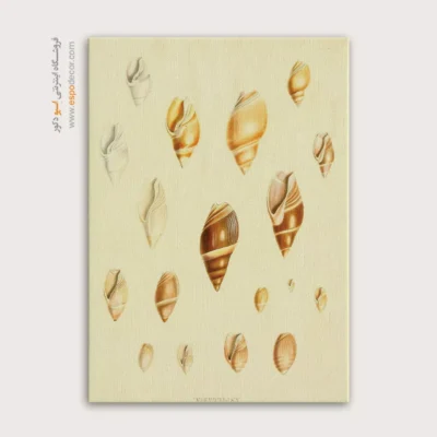 تابلو جانوران دریایی - اسپو دکور