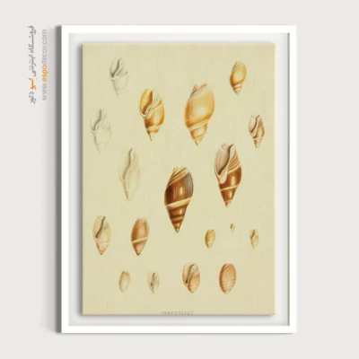 تابلو جانوران دریایی - اسپو دکور