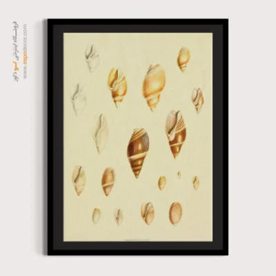 تابلو جانوران دریایی - اسپو دکور