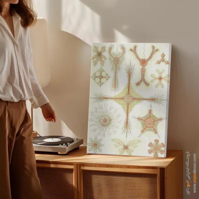 تابلو جانوران دریایی - اسپو دکور