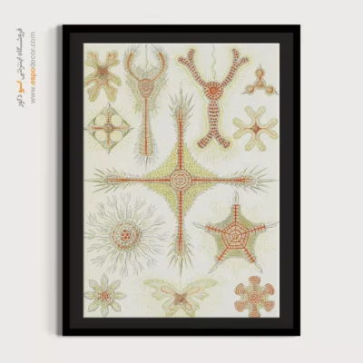 تابلو جانوران دریایی - اسپو دکور