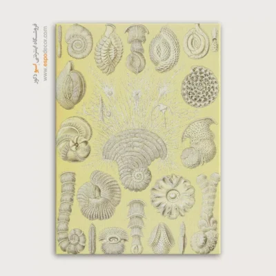 تابلو جانوران دریایی - اسپو دکور