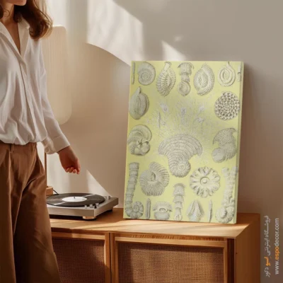 تابلو جانوران دریایی - اسپو دکور