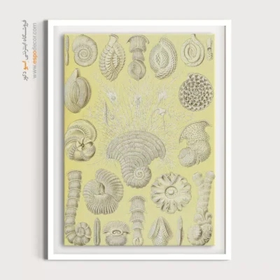 تابلو جانوران دریایی - اسپو دکور