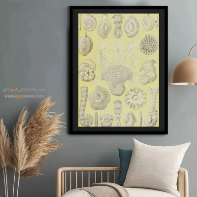 تابلو جانوران دریایی - اسپو دکور