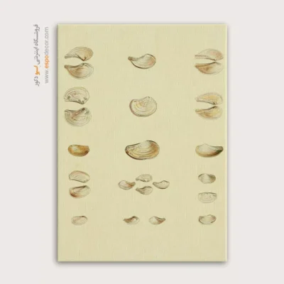 تابلو جانوران دریایی - اسپو دکور