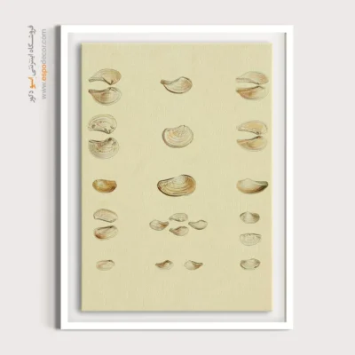 تابلو جانوران دریایی - اسپو دکور