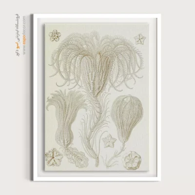 تابلو جانوران دریایی - اسپو دکور