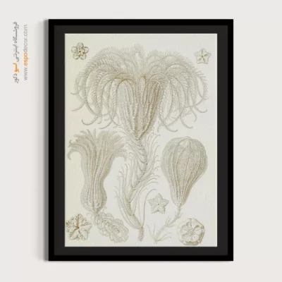 تابلو جانوران دریایی - اسپو دکور