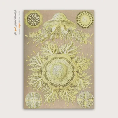 تابلو جانوران دریایی - اسپو دکور