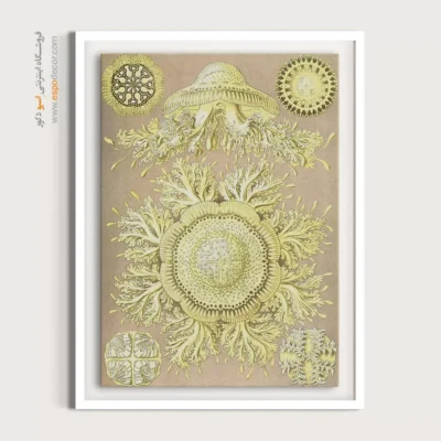 تابلو جانوران دریایی - اسپو دکور