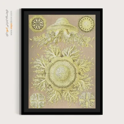 تابلو جانوران دریایی - اسپو دکور