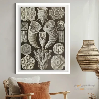 تابلو جانوران دریایی - اسپو دکور