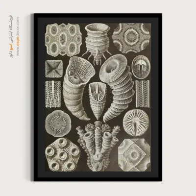 تابلو جانوران دریایی - اسپو دکور