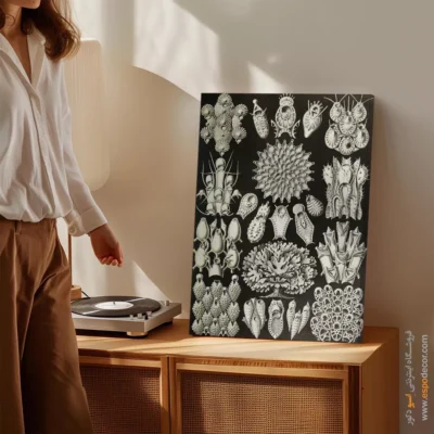 تابلو جانوران دریایی - اسپو دکور