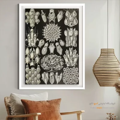 تابلو جانوران دریایی - اسپو دکور