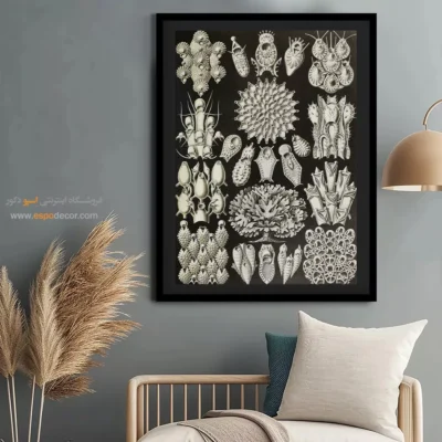 تابلو جانوران دریایی - اسپو دکور