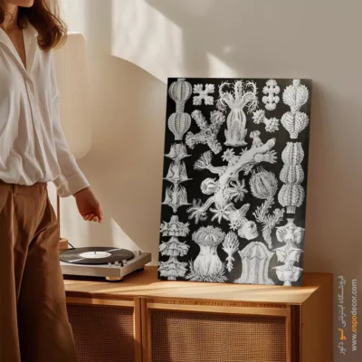 تابلو جانوران دریایی - اسپو دکور