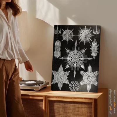 تابلو جانوران دریایی - اسپو دکور