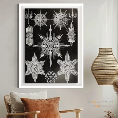 تابلو جانوران دریایی - اسپو دکور