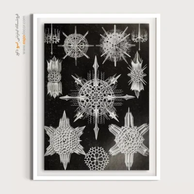 تابلو جانوران دریایی - اسپو دکور