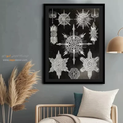 تابلو جانوران دریایی - اسپو دکور