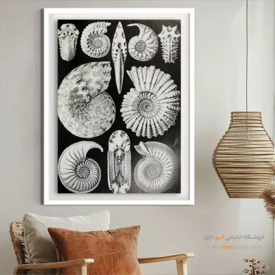 تابلو جانوران دریایی - اسپو دکور