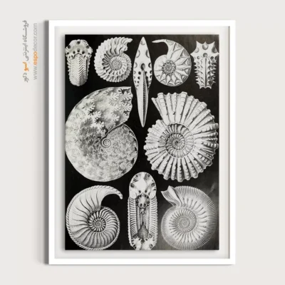 تابلو جانوران دریایی - اسپو دکور