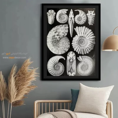 تابلو جانوران دریایی - اسپو دکور