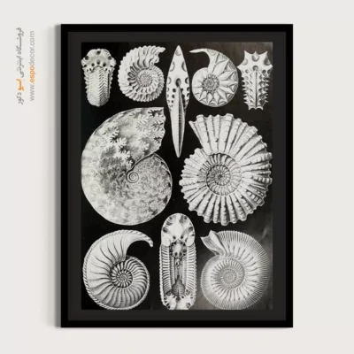 تابلو جانوران دریایی - اسپو دکور