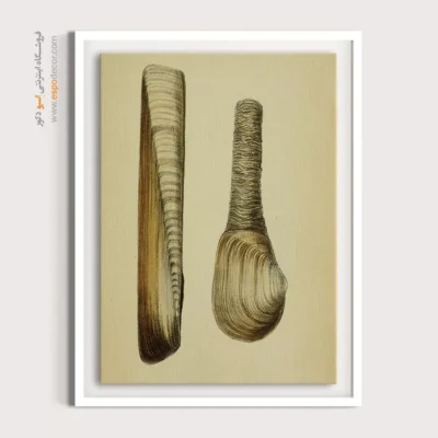 تابلو جانوران دریایی - اسپو دکور