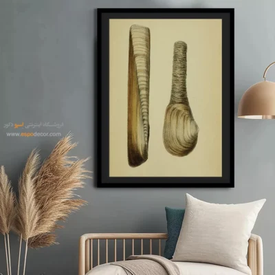 تابلو جانوران دریایی - اسپو دکور