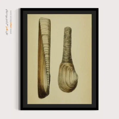 تابلو جانوران دریایی - اسپو دکور