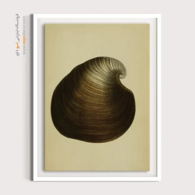 تابلو جانوران دریایی - اسپو دکور