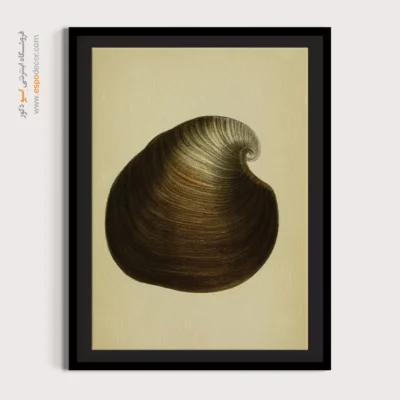 تابلو جانوران دریایی - اسپو دکور