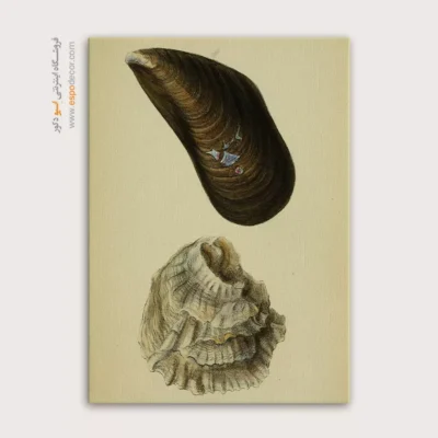 تابلو جانوران دریایی - اسپو دکور