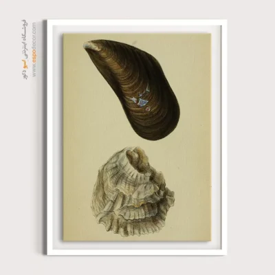 تابلو جانوران دریایی - اسپو دکور