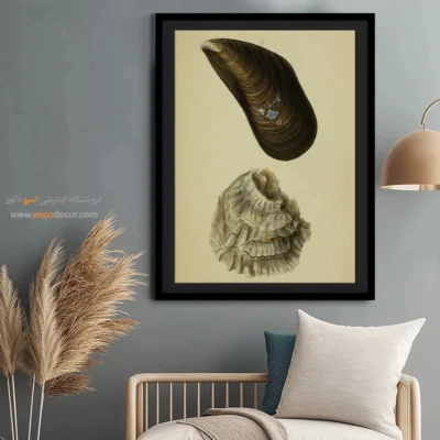 تابلو جانوران دریایی - اسپو دکور