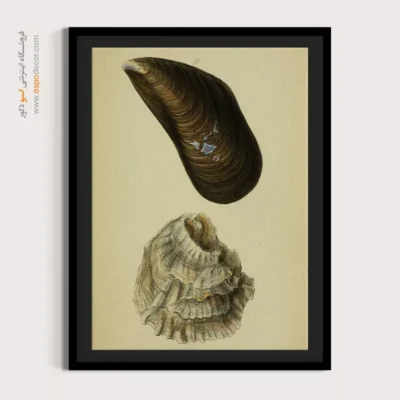 تابلو جانوران دریایی - اسپو دکور