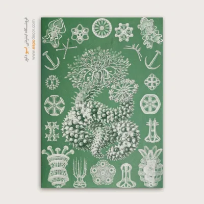 تابلو جانوران دریایی - اسپو دکور