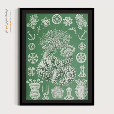 تابلو جانوران دریایی - اسپو دکور