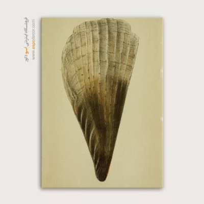 تابلو جانوران دریایی - اسپو دکور