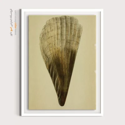 تابلو جانوران دریایی - اسپو دکور