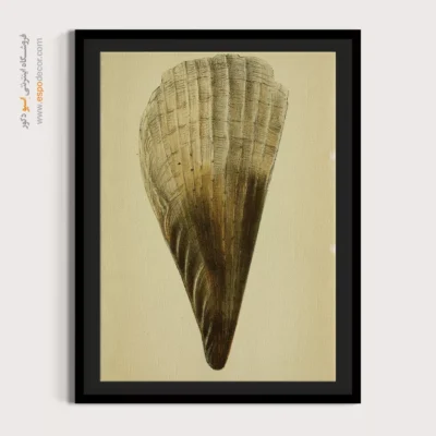 تابلو جانوران دریایی - اسپو دکور