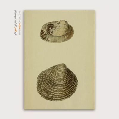 تابلو جانوران دریایی - اسپو دکور