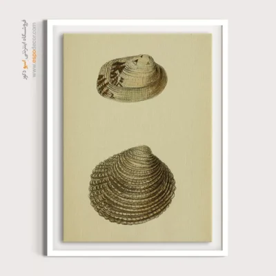 تابلو جانوران دریایی - اسپو دکور