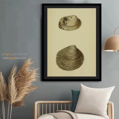 تابلو جانوران دریایی - اسپو دکور