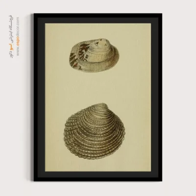 تابلو جانوران دریایی - اسپو دکور